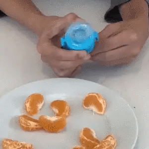 Alimentador Fruta Fácil